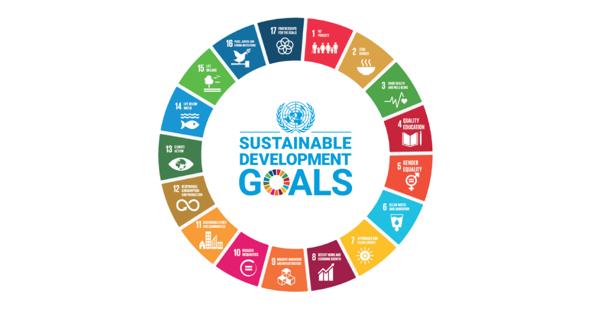 Connect SDGs 2030