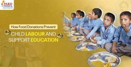 How Food Support Helps Children Stay in School and Focus On Education