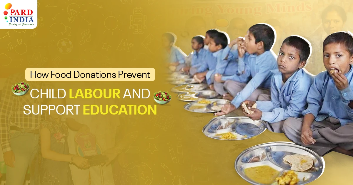 How Food Support Helps Children Stay in School and Focus On Education